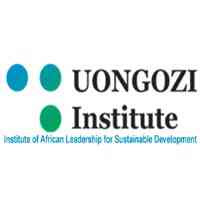 Capacity Development Specialist Job Opportunity at UONGOZI Institute