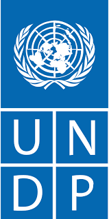Regional Operations Associate at UNDP