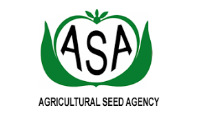ACCOUNTANT at Agricultural Seed Agency (ASA)